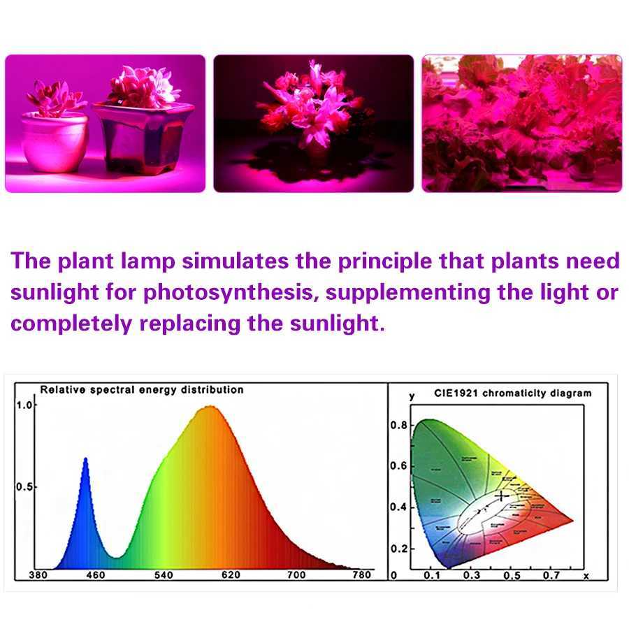 5V LED Grow Light Full Spectrum Red Blue Phyto Grow Lamp Indoor USB Phytolamp For Plants Flowers Seedling Greenhouse Fitolampy XJ250526