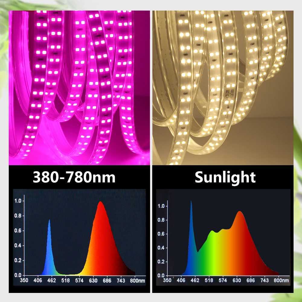 SMD2835 220V 180LEDS/M 12W/M Double Row Lamp Beads IP67 Waterproof Full Spectrum High Brightness LED Grow Light StripXJ250526