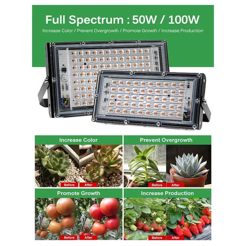 ABJY-LED Grow Light Full Spectrum Phyto Lamp For Plants 100W LED Grow Lamp Phytolamp Greenhouse Growth LightingXJ250526