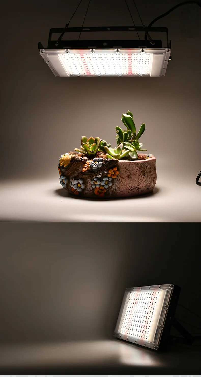 Full Spectrum 380-840nm Sunlight Growth Light LED IP65 50W 100W 300W Plant Grow Light with EU Plug for Indoor GreenhouseXJ250526