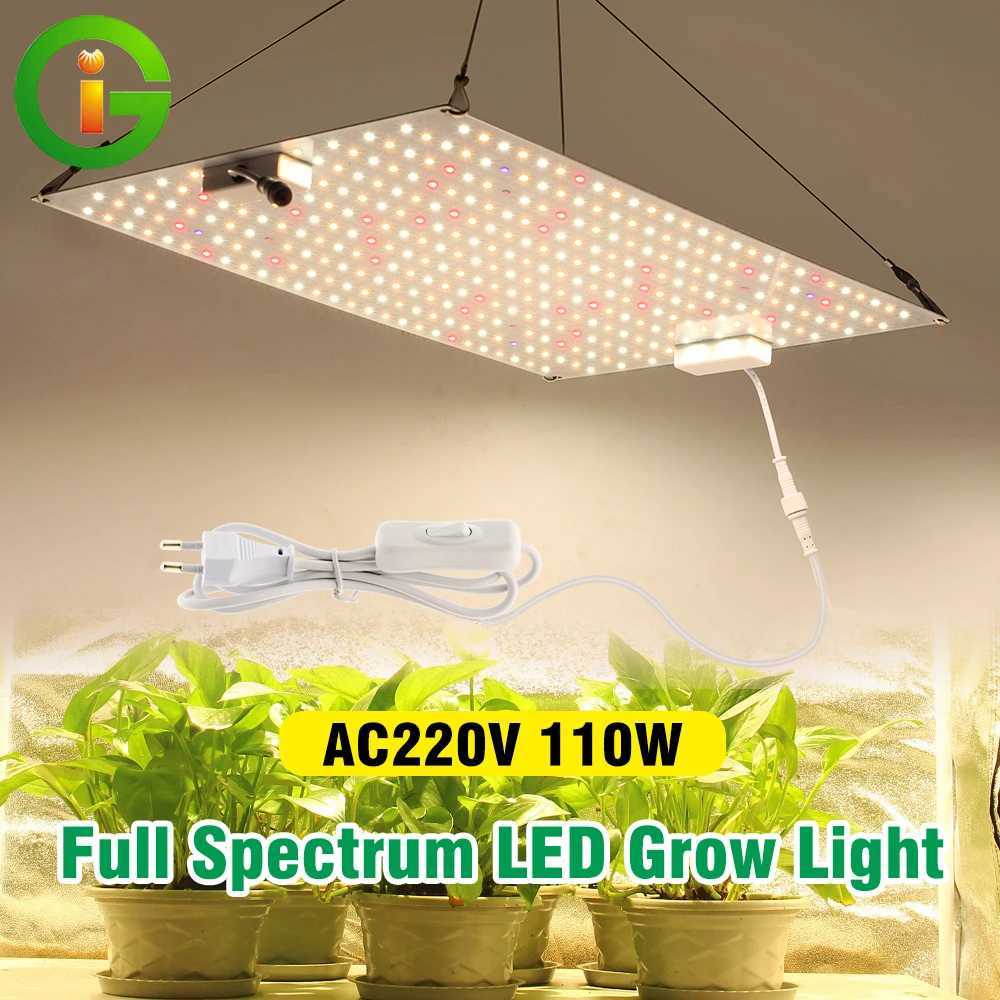 AC220V LED Grow Lights Full Spectrum 110W LED Plant Growth Flood Light Fitolampy Phyto Lamps For Hydroponics GreenhouseXJ250526