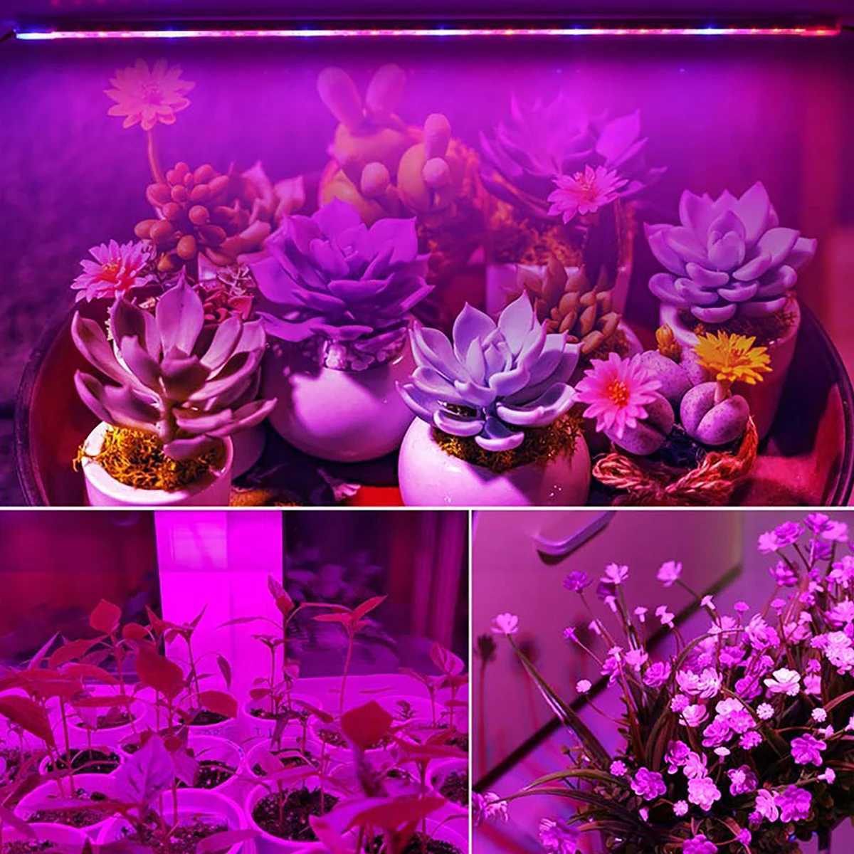 Plant LED Grow Light T5 Tube Bar Lamp 29cm 6W AC 85V -265V EU /US Plug Greenhouse Seeding Home Pot Plant GrowingXJ250526
