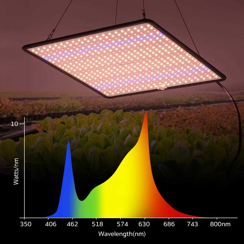 LED Grow Light Full Spectrum Phyto Lamp AC85-240V 40W For Indoor Grow Tent Plants Grow Light XJ250526