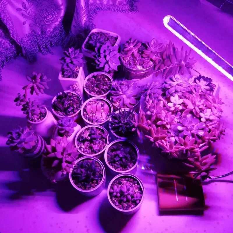 USB 5V LED Grow Light Full Spectrum Red Lamp Blue Phyto Grow Lamp Indoor USB Phytolamp for Plants Flowers Seedling Green HouseXJ250526