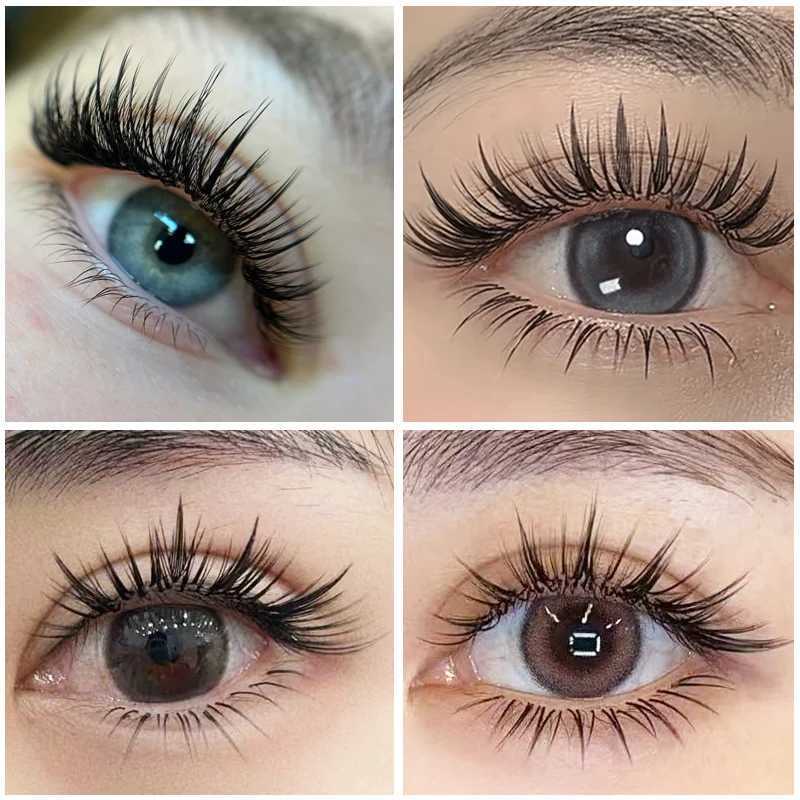 Befer Beauty Anime Lashes 240 Clusters Manga Style Feather Lash Flora Cat Eye Eyelashes 8-15mm C/D Curl Lash Extensions Supplier z250526JVGD