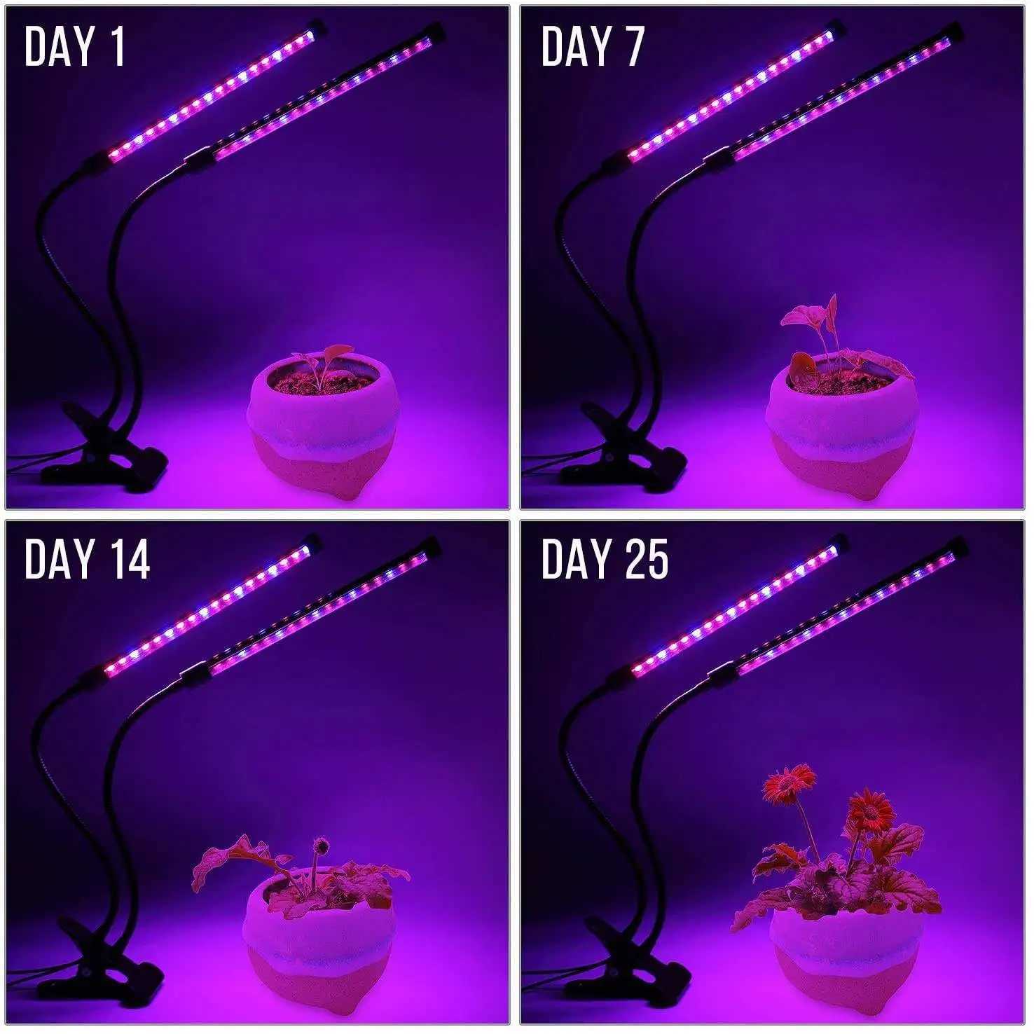 USB LED Plant Grow Light Indoor Garden 10 Dimmable Levels Grow Light Full Spectrum Timer Setting Hydroponic Greenhouse 3H/9H/12HXJ250526