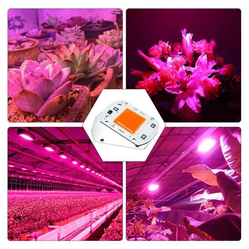 Hydroponics 110V 220V COB LED Grow Light Chip 10W 20W 30W 50W Full Spectrum Phyto Lamp for Indoor Plant Seedling Growth and FloweringXJ250526