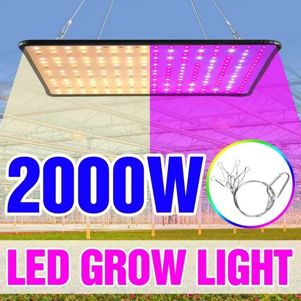 Latest Growing Lamps Led Full Spectrum Plant Bulb Greenhouse Indoor Plant Grow Light EU/AU/UK/US plug Multiple colors available XJ250526