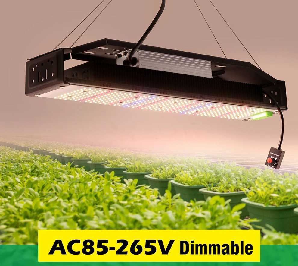 Full Spectrum LED Grow Light AC85-265V LM301B 312Pcs 3000K 6500K Dimmable For Seedlings Growth Grow Tent Veg BloomXJ250526
