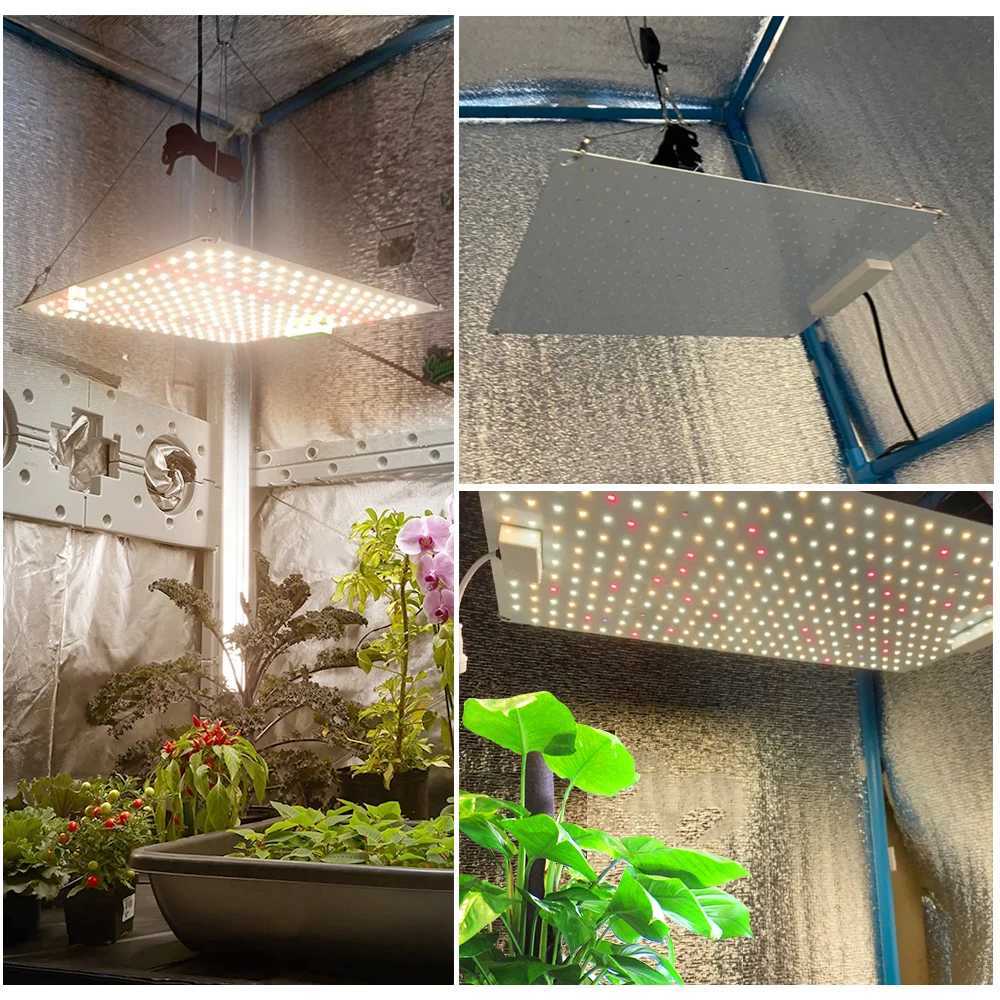 AC220V LED Grow Lights Full Spectrum 110W LED Plant Growth Flood Light Fitolampy Phyto Lamps For Hydroponics GreenhouseXJ250526