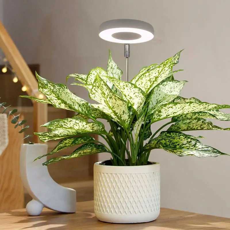 Plant Lights for Indoor Growing Sun Simulation Fill Lamp for Flower LED Full Spectrum Grow Lights for Indoor Plants with 360XJ250526