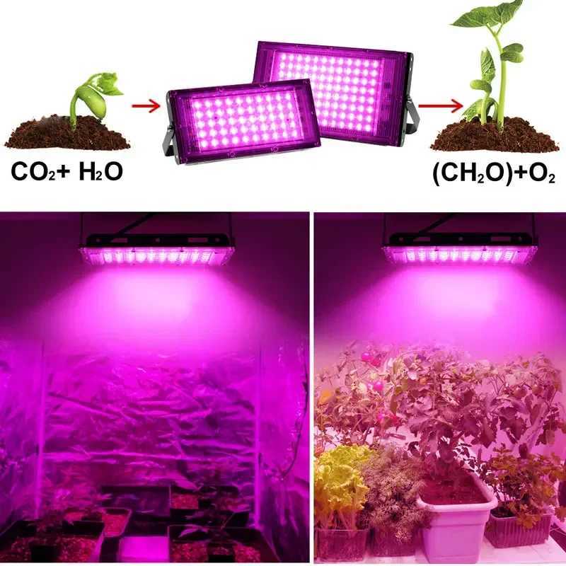 Phytolamp For Plants 50W 100W 200W 300W UV Lamp Full Spectrum Plant LED Grow Light Indoor Cultivation For Greenhouse Flower SeedsXJ250526