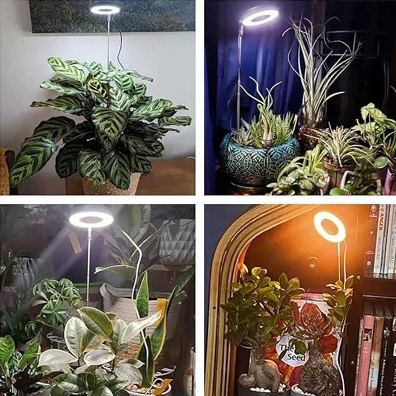 Full Spectrum Indoor Solar LED Growth Light Flower Floor Telescopic Fill Light Annular Plant Light Small Growth Light Phyto LampXJ250526