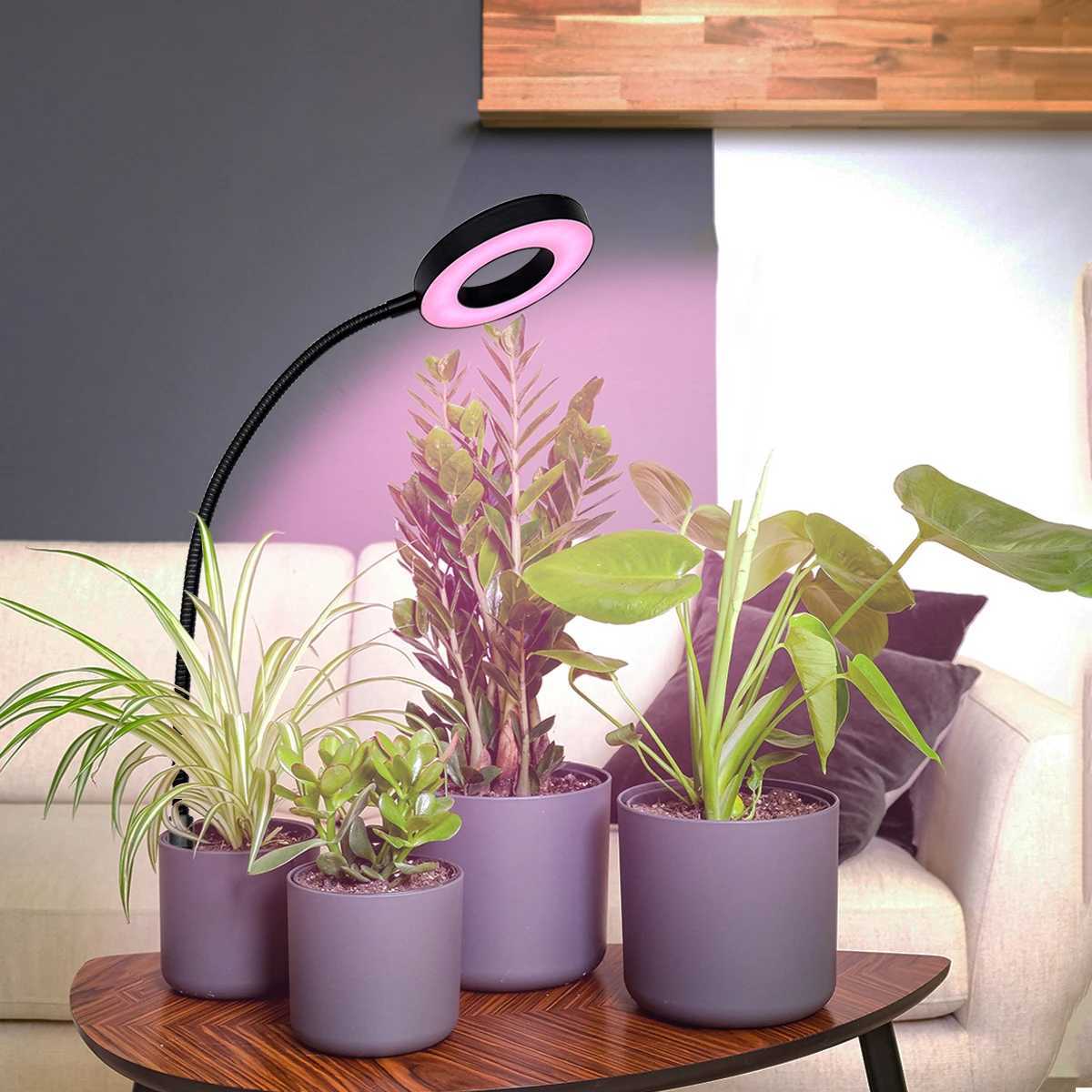 Ground Insert Hose Plant Growth Light LED Fill Light Timing USB 5V Indoor Pot Light Full SpectrumXJ250526