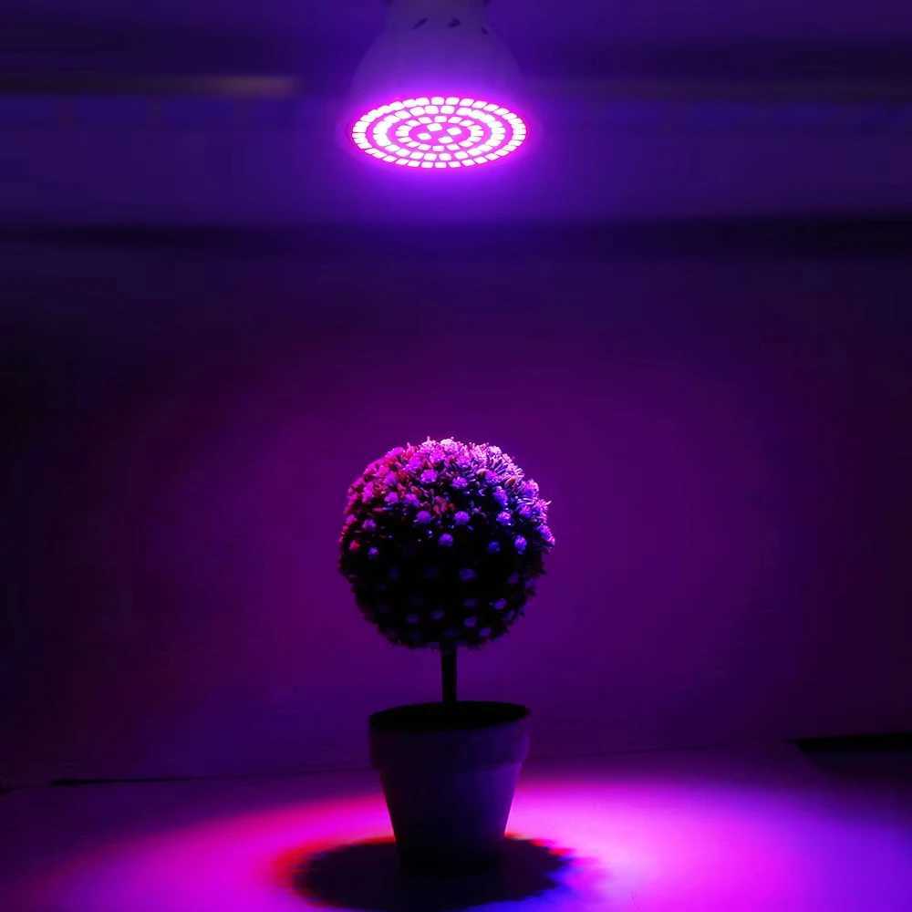 Plant Grow Lamp 220V Garden Light Spectrum LED Full Growing Bulb for Greenhouse Hydroponics Growth Fitolampy Flower LampXJ250526