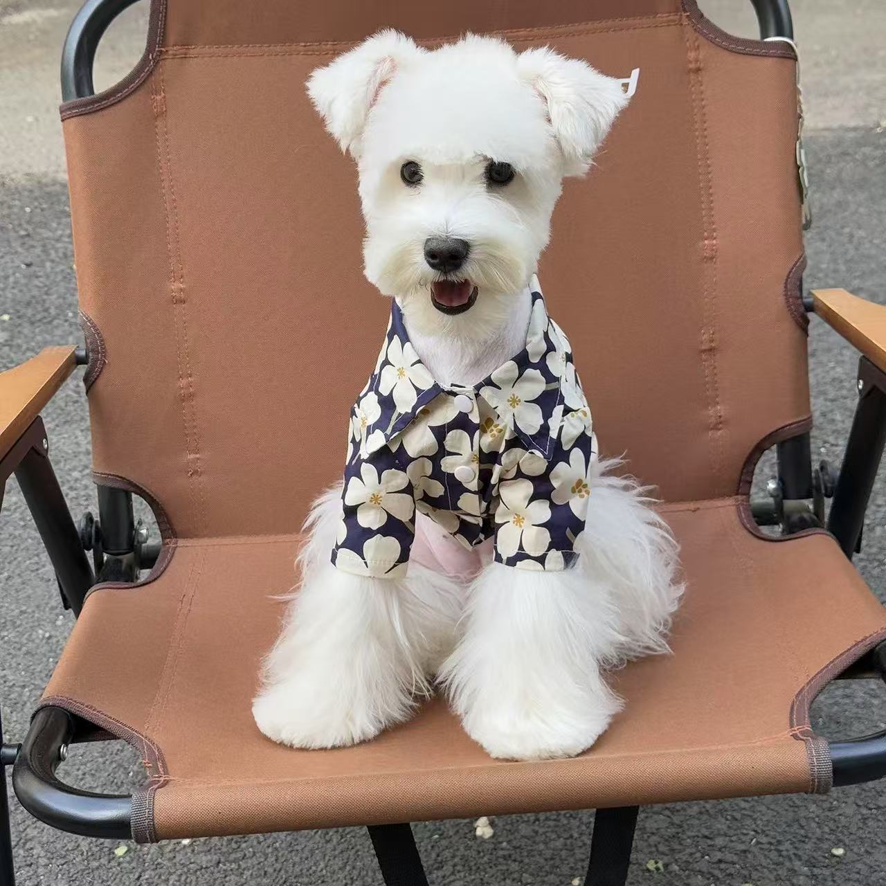 T00309 Dog clothes spring and summer pet cotton hooded sweatshirt for going out for small and medium-sized dogs Maltese Teddy Bichon Corgi