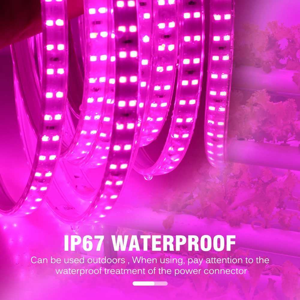 LED Grow Strip Full Spectrum Double Row Lamp Beads LED Grow Light AC220V Phyto Lamp For Plants Flowers Greenhouses HydroponicXJ250526