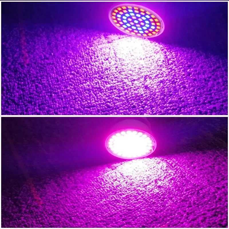 220V E27 60LEDs Plant Grow Light Phyto Lamps Led Full Spectrum Growing Bulb for Greenhouse Hydroponics Growth FitolampyXJ250526