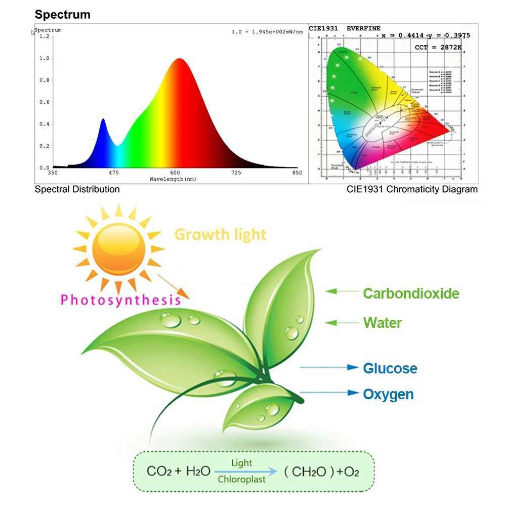 LED Grow Lamp AC 220V 230V Flood Lights Full Spectrum Hydroponics Seeding Flower Phytolamp Plant Lamps Plant Lighting LEDXJ250526