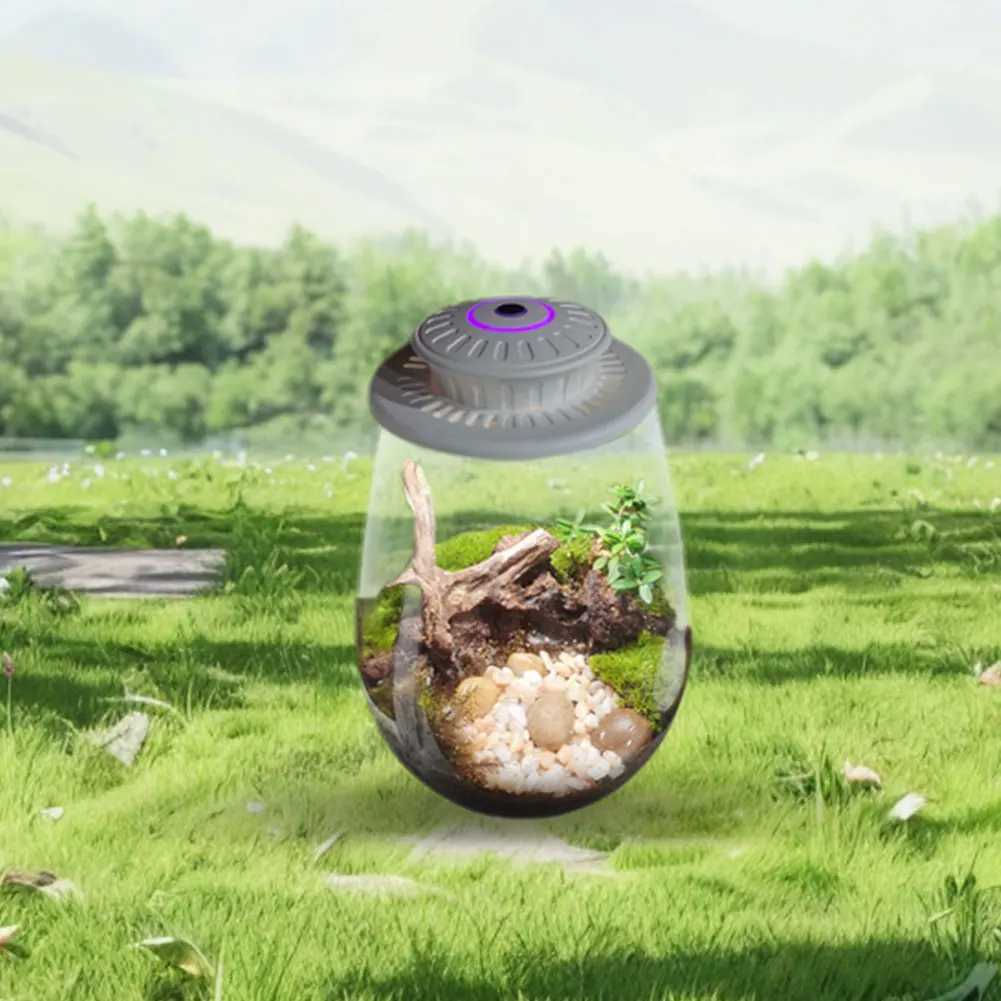 Fern Moss Micro-Landscape Grow Light with Timer Micro Landscape Plant Growth Lamp 6500K Plant Grow Light for Indoor Plant GrowthXJ250526