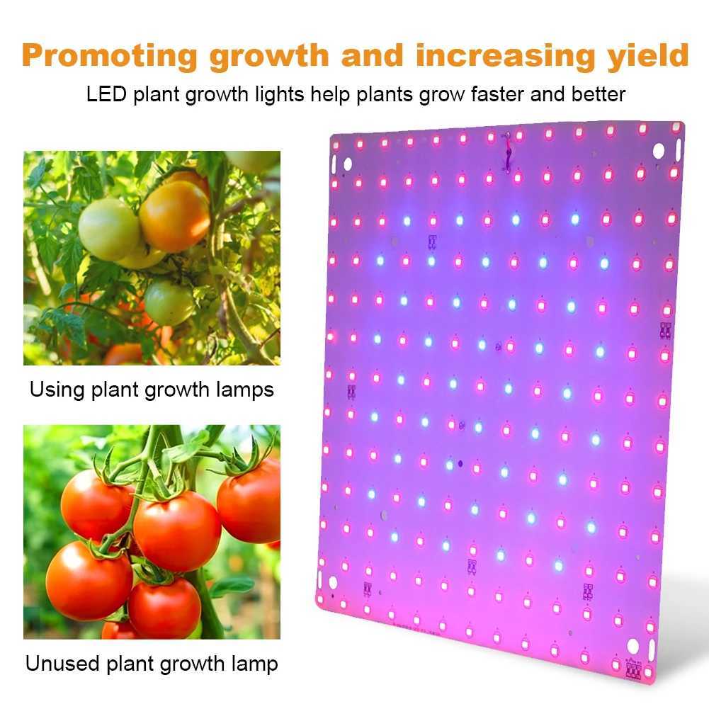 12W Full Spectrum Plant Lamp 169 LED Grow Lamp Full Spectrum Grow Light Red Blue LED for Indoor Gardening Vegetables Grow TentXJ250526