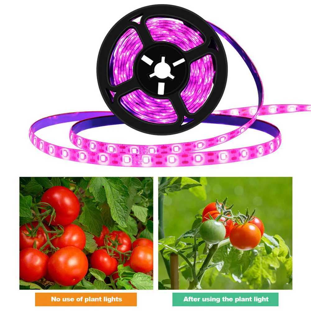 1M/2M/3M LED Plant Grow Light Full Spectrum USB Strip 60 Lamp Beads/M Greenhouse PhytoLamp For Plants Hydroponic Growing SystemXJ250526