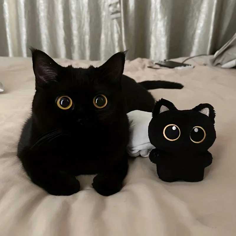 1 Pcs Cute Plush Little Black Cat Doll Pendant Versatile Hanging Decoration Cat shaped Pet Plush Toy Backpack Keychain XJ250524