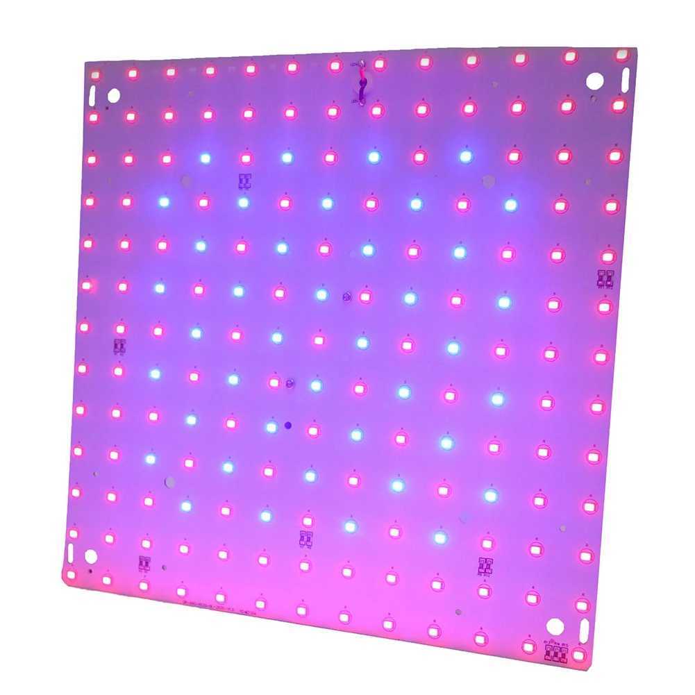12W Full Spectrum Plant Lamp 169 LED Grow Lamp Full Spectrum Grow Light Red Blue LED for Indoor Gardening Vegetables Grow TentXJ250526