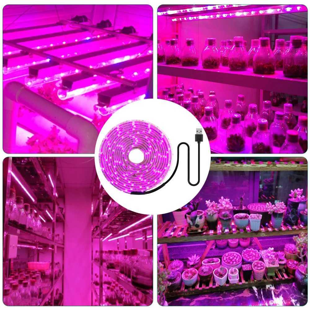 LED Grow Light Full Spectrum 5V USB Grow Light Strip 2835 LED Phyto Lamps for Plants Greenhouse Hydroponic Growing Lamp 1M 2M 3MXJ250526