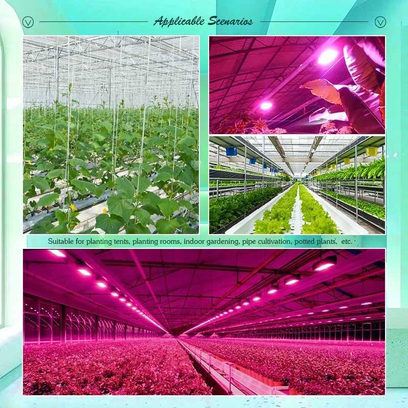 50W 100W LED Grow Light for Indoor Plants AC220V Full Spectrum Veg and Bloom Switch IP65 Waterproof Floodlight Plant Growing XJ250526
