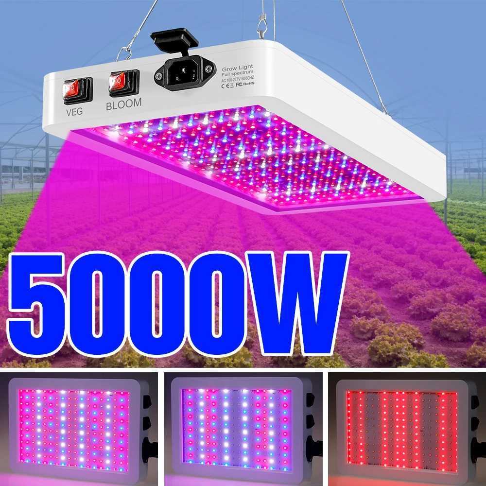4000W Grow Light Full Spectrum Lamp For Plants 5000W Phyto Light Greenhouse UV Lamp Plants Seeds Veg LED Fitolamp US/EU/UK PlugXJ250526