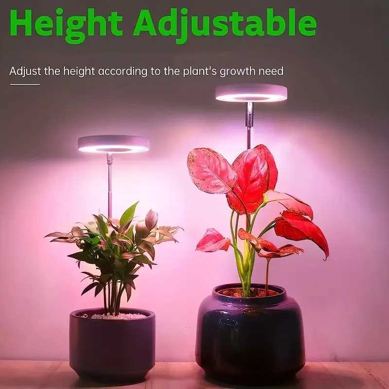 USB LED Retractable Plant Light Grow Light Angel Ring Succulent Red And Blue Light Full Spectrum Flower Timer Plant Fill LightXJ250526