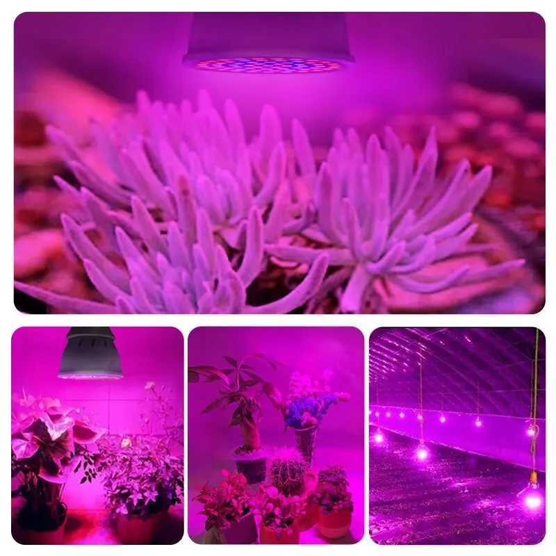 220V E27 60LEDs Plant Grow Light Phyto Lamps Led Full Spectrum Growing Bulb for Greenhouse Hydroponics Growth FitolampyXJ250526