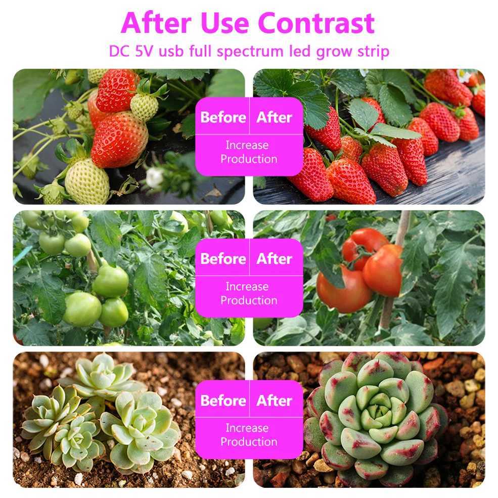 5V USB LED Bitki Byme I 2M 5M Tam Spektrum Hidroponik Yetitirme Lambalar Mekan Bitkiler Sera iekler Tohumlar Fito Lamba eritXJ250526