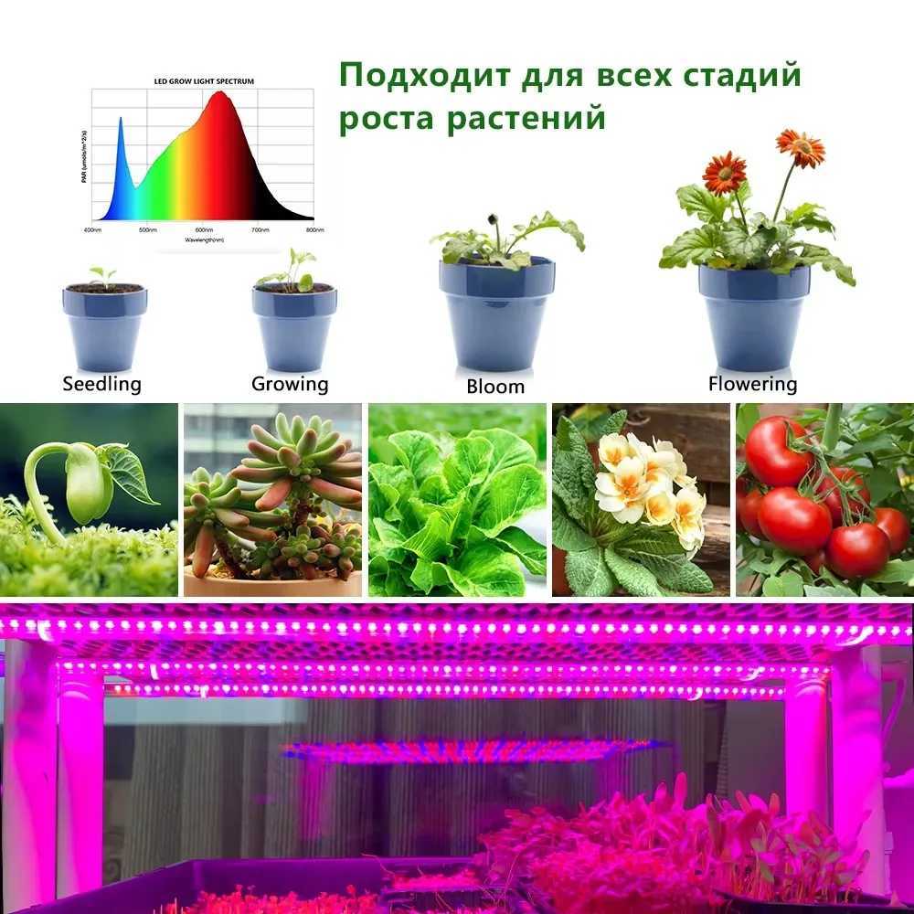 Outdoor Waterproof USB LED Grow Plant Light Strip DC5V 1M 2M 3M Full Spectrum Seedling Grow Tent Greenhouse Hydroponic Phyto LampXJ250526