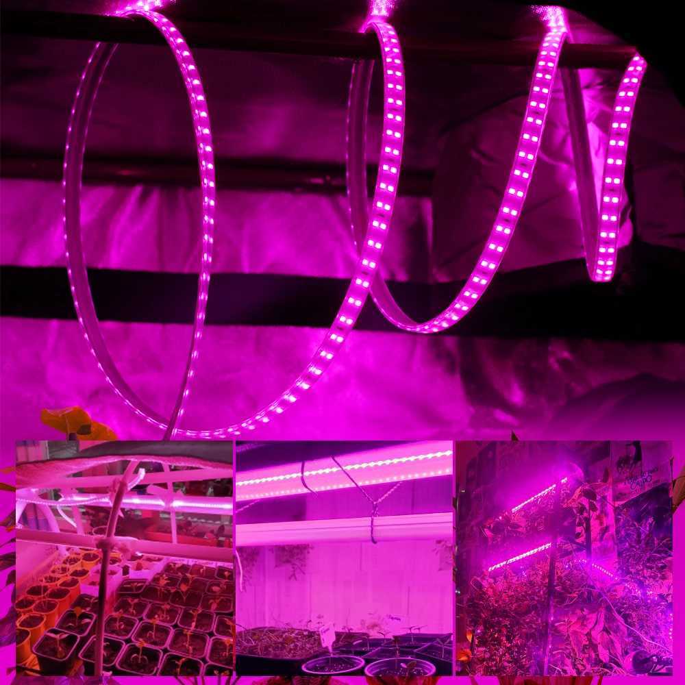 LED Grow Strip Full Spectrum Double Row Lamp Beads LED Grow Light AC220V Phyto Lamp For Plants Flowers Greenhouses HydroponicXJ250526
