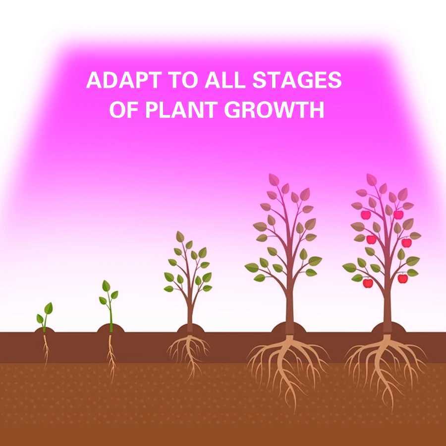 5V LED Grow Light Full Spectrum Red Blue Phyto Grow Lamp Indoor USB Phytolamp For Plants Flowers Seedling Greenhouse Fitolampy XJ250526