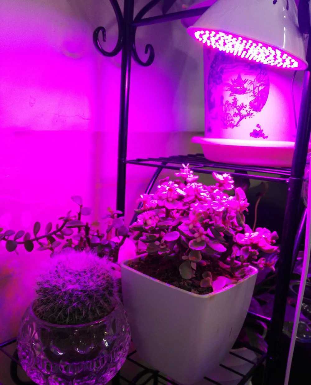 Full Spectrum Plant Grow LED Light Bulbs Lamp Lighting for Vegetables Hydro Flower Greenhouse Indoor Garden E27 Phyto GrowboxXJ250526