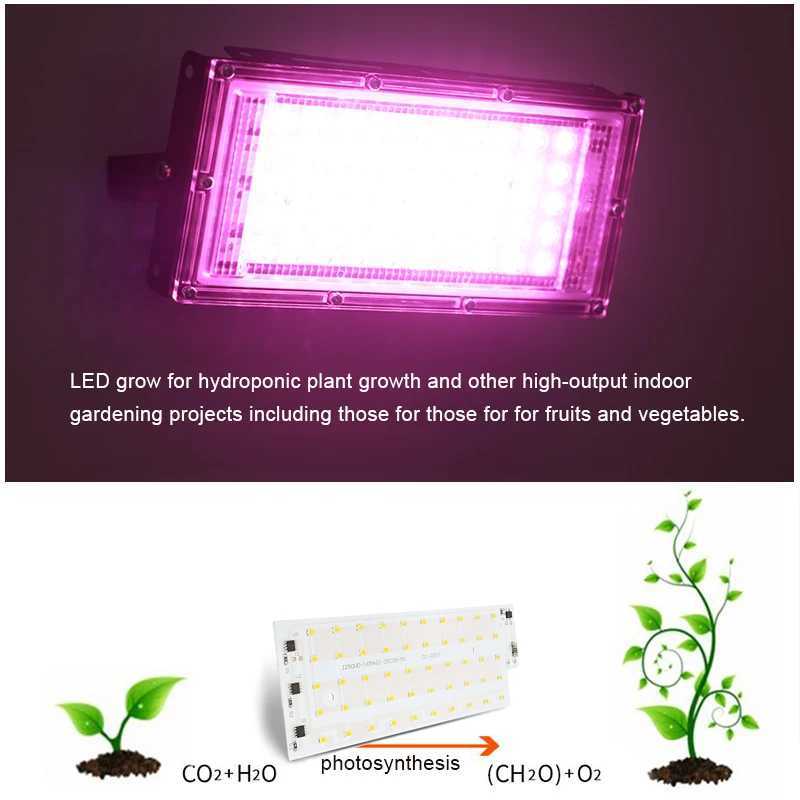 3Pcs 50W LED Grow Light AC220V Full Spectrum DIY Greenhouse Hydroponic Plant Growth Lighting Smd2835 Indoor Plant Light SeedlingXJ250526