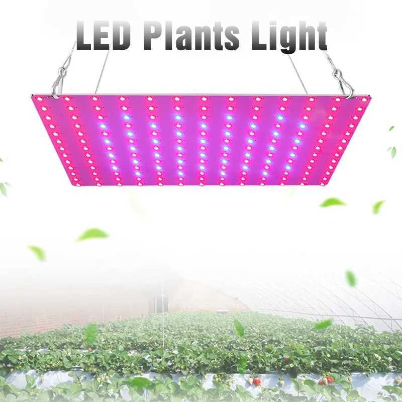 LED Plant Grow Light 169LEDs Full Spectrum Hydroponic Greenhouse Plants Growing Lamp Veg Flower Indoor Ultrathin Panel PhytolampXJ250526