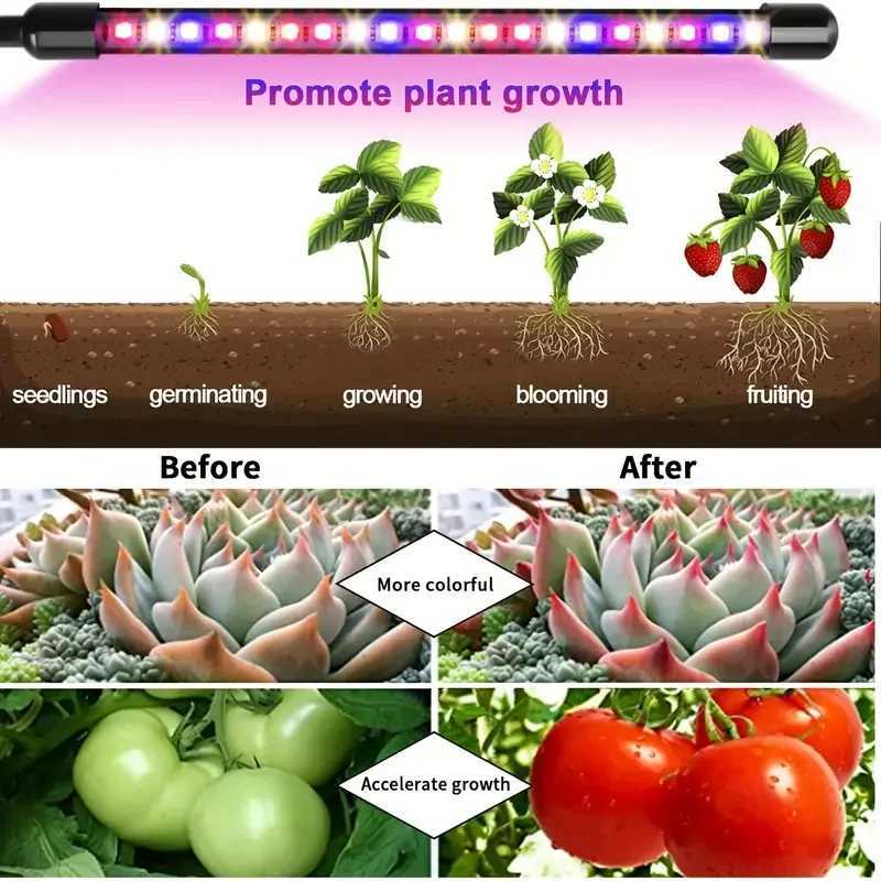 LED Grow Light Full Spectrum Clip-on Plant Light with Red Blue Yellow Bulbs for Indoor Plants Growing Auto On Off Timer 4/8/12HXJ250526