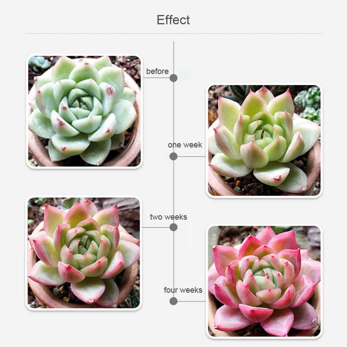 Plant LED Grow Light T5 Tube Bar Lamp 29cm 6W AC 85V -265V EU /US Plug Greenhouse Seeding Home Pot Plant GrowingXJ250526