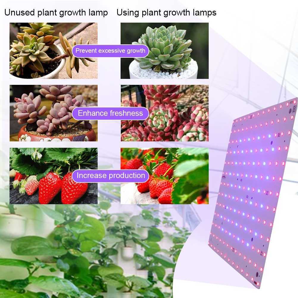 12W Full Spectrum Plant Lamp 169 LED Grow Lamp Full Spectrum Grow Light Red Blue LED for Indoor Gardening Vegetables Grow TentXJ250526