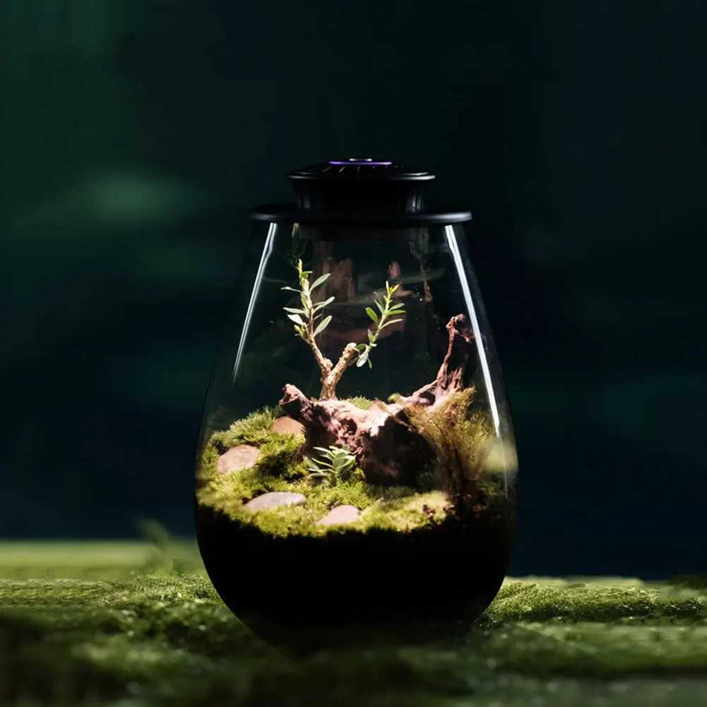 Fern Moss Micro-Landscape Grow Light with Timer Micro Landscape Plant Growth Lamp 6500K Plant Grow Light for Indoor Plant GrowthXJ250526