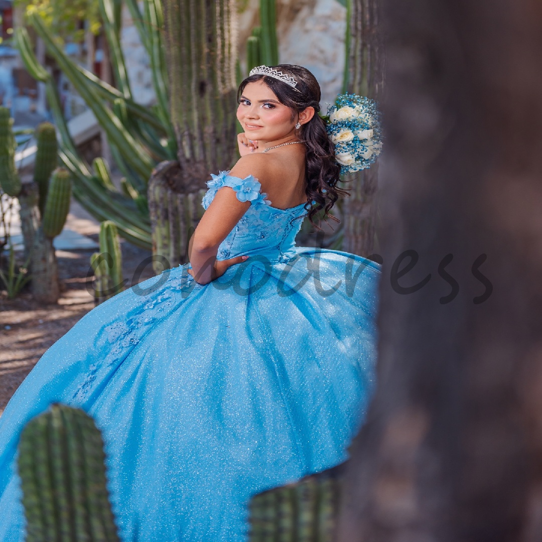 Sparkle Blue Quinceanera Dresses With Flowers Beaded Ball Gown Vestidos De 15 Quinceaneras Dress Xv Debutante Beaded Sweet 16 Dress Luxury Masquerade 