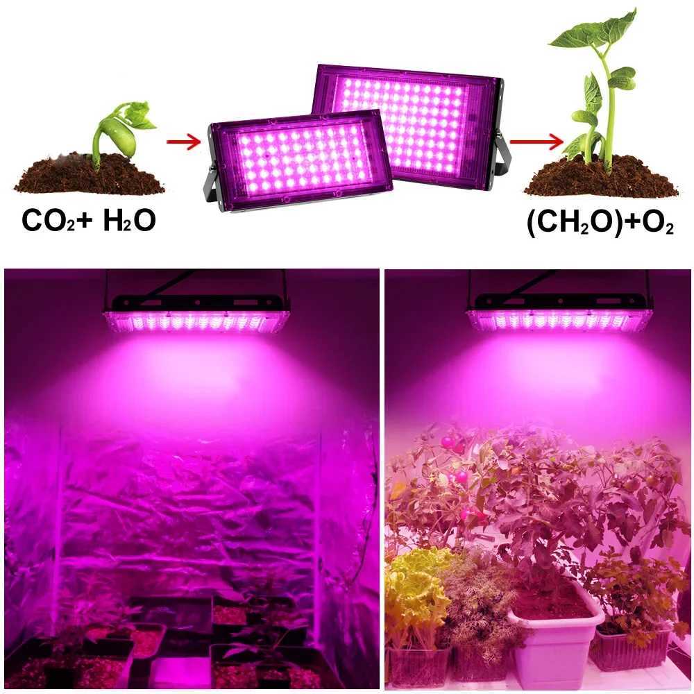 LED Grow Light Phyto Lamp Full Spectrum Plant Hydroponic Lamp 220V LED Plant Light Greenhouse Seeds Flower Grow Lighting UV LampXJ250526