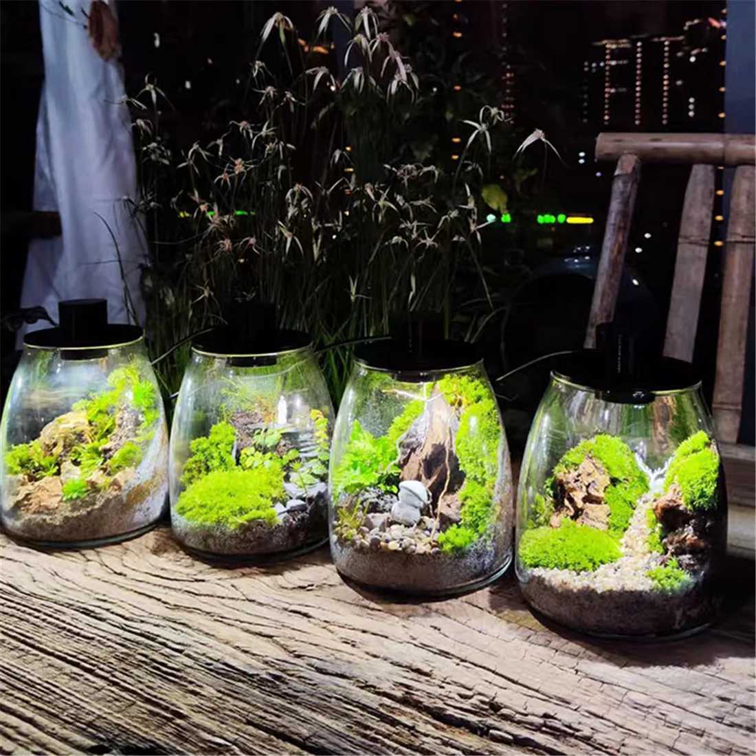 Round D10cm D12cm D15cm D20cm LED moss plant light breathable ecological bottle lamp USB aquatic grass light wanter plant lampXJ250526