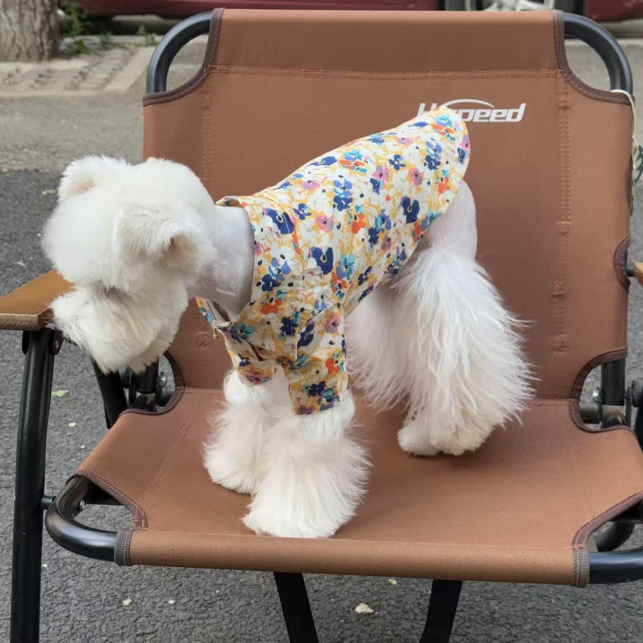 T00305 Dog clothes spring and summer thin pet shirt crayon painting cute anti-hair loss outdoor sun protection Bichon big dog clothes