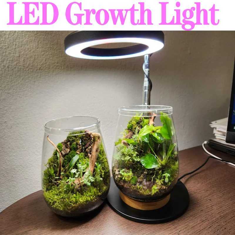 Full Spectrum Plant Lamp USB Grow Light LED Growth Light Phyto Lamp Flower Seedling Hydroponic Lighting Grow Lamp Phyto LampXJ250526