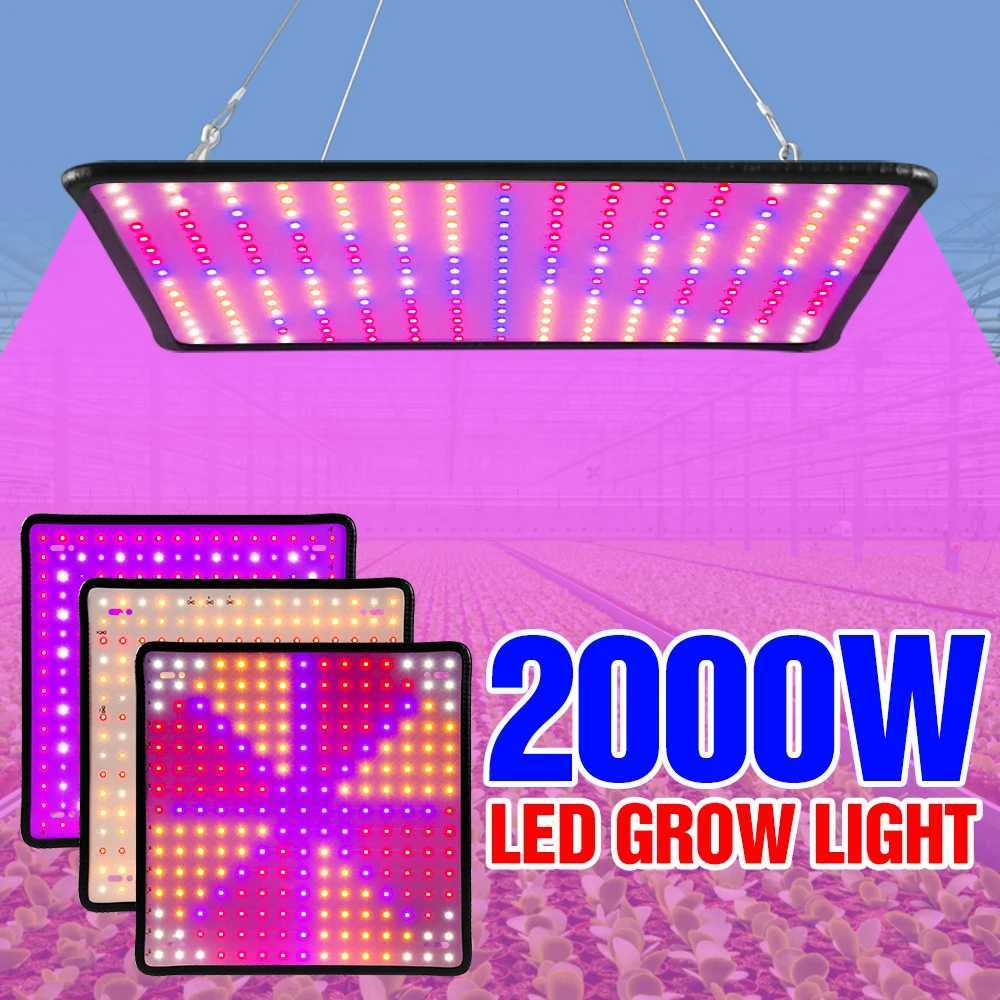 LED Full Spectrum Phytolamp For Plants Grow Light Indoor Flower Seeds Hydroponics Cultivation Phyto Lamp Quantum Board LED LightXJ250526